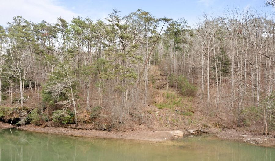 LOT 40 SIPSEY OVERLOOK, Double Springs, AL 35553 - 0 Beds, 0 Bath