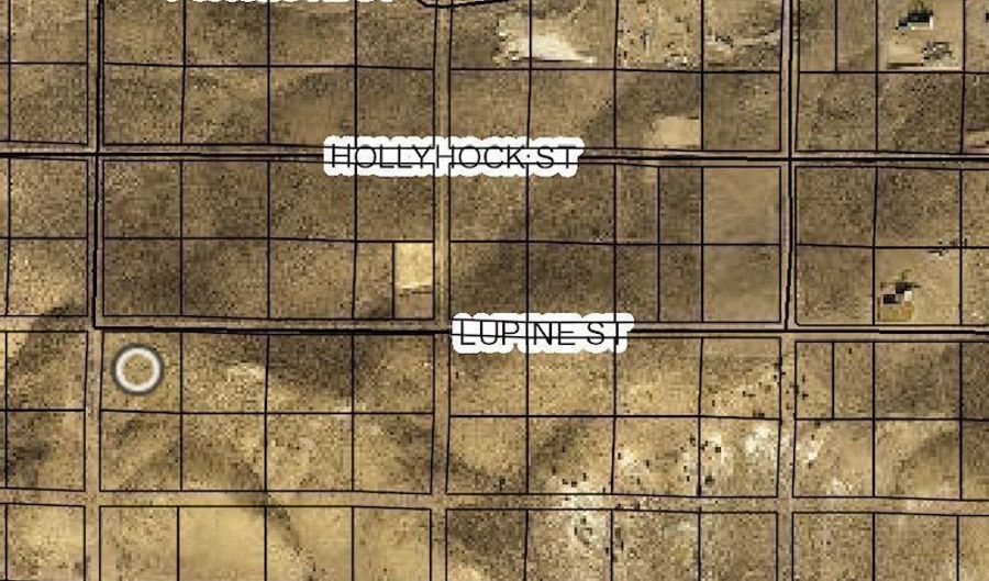 Lupine/Chicksaw Street, Elko, NV 89801 - 0 Beds, 0 Bath