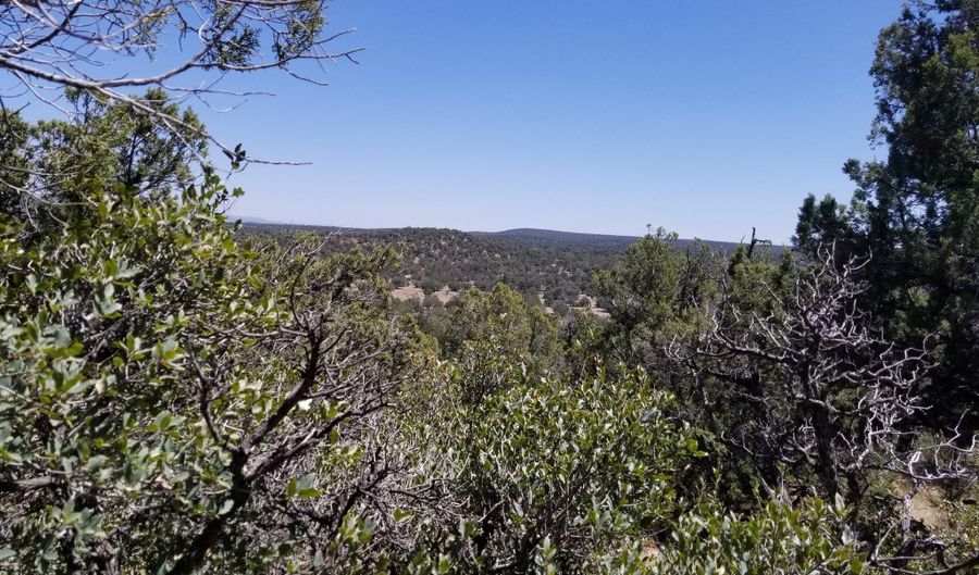 133 Arizona Rd, Ash Fork, AZ 86320 - 0 Beds, 0 Bath