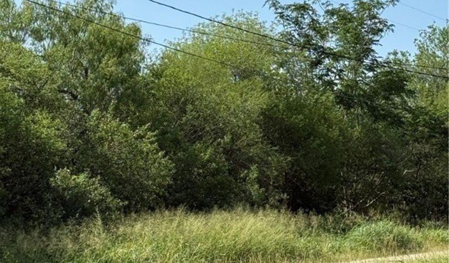 TBA 2 N 2nd Street, Alice, TX 78342 - 0 Beds, 0 Bath