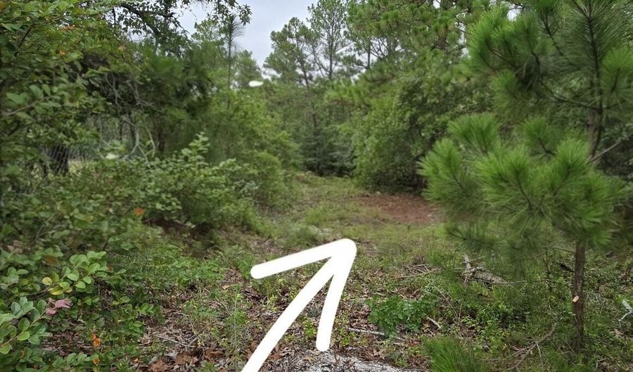Cleora Murray Drive lot 9 & 10, Aiken, SC 29801 - 0 Beds, 0 Bath