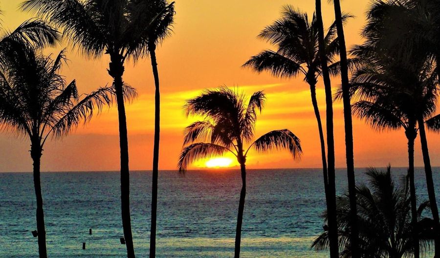 160 KEONEKAI Rd 14-202, Kihei, HI 96753 - 2 Beds, 1 Bath