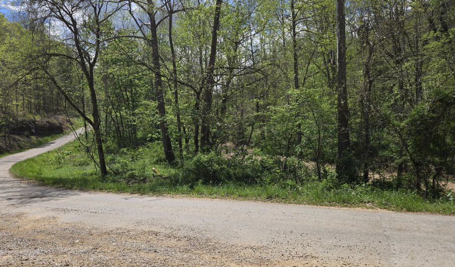 Hale Ridge Road, Beattyville, KY 41311 - 0 Beds, 0 Bath