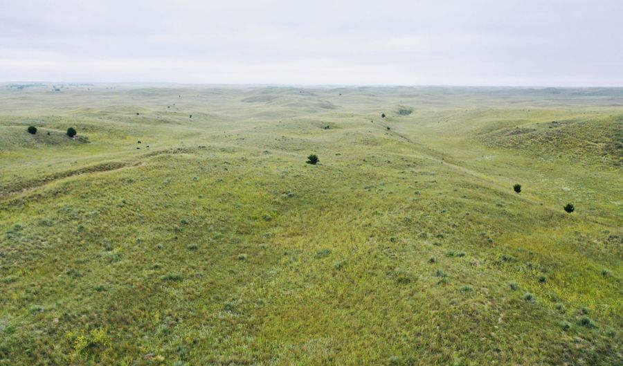 755 90 +/- Acres, Arnold, NE 69120 - 0 Beds, 0 Bath