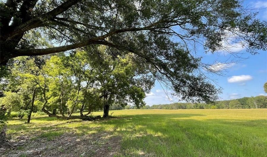 Lot 5b Rains County Road 2420, Alba, TX 75410 - 0 Beds, 0 Bath