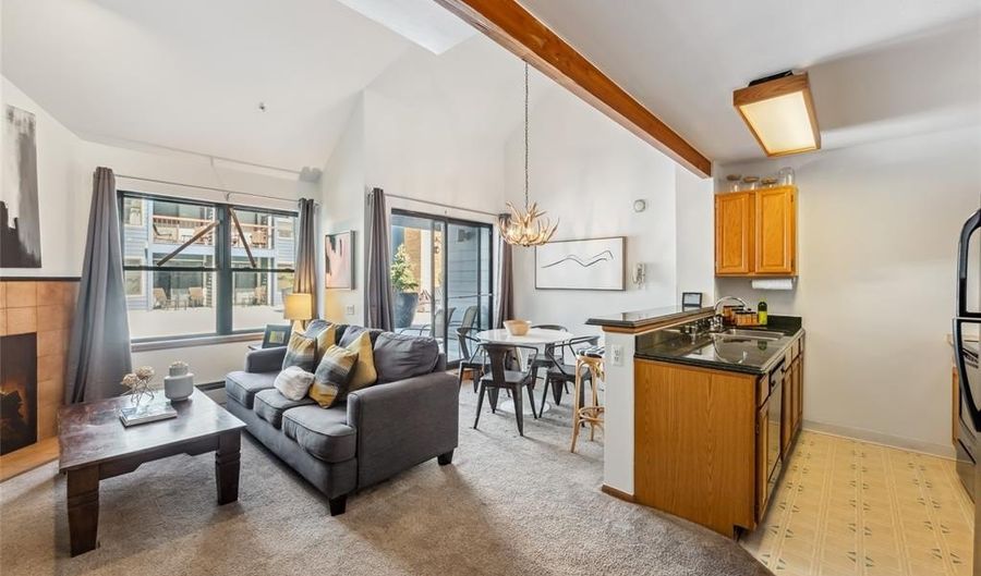 100 S PARK Ave E202, Breckenridge, CO 80424 - 1 Beds, 2 Bath