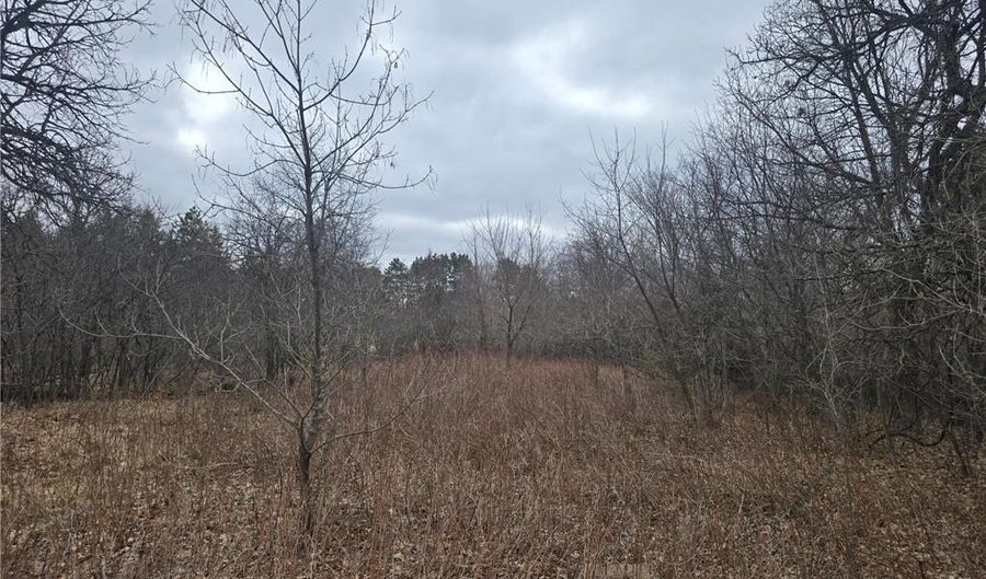 L11 B1 288th Ave Avenue NW, Baldwin Twp., MN 55398 - 0 Beds, 0 Bath