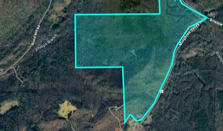 Unit # 0 Murphree Valley Road, Altoona, AL 35952 - 0 Beds, 0 Bath