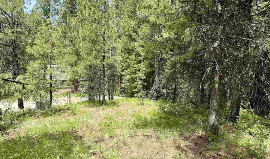 53 Landale Ln, Cascade, ID 83711 - 0 Beds, 0 Bath
