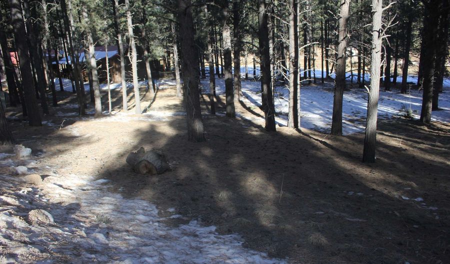 Lot 608 Via Del Rey, Angel Fire, NM 87710 - 0 Beds, 0 Bath