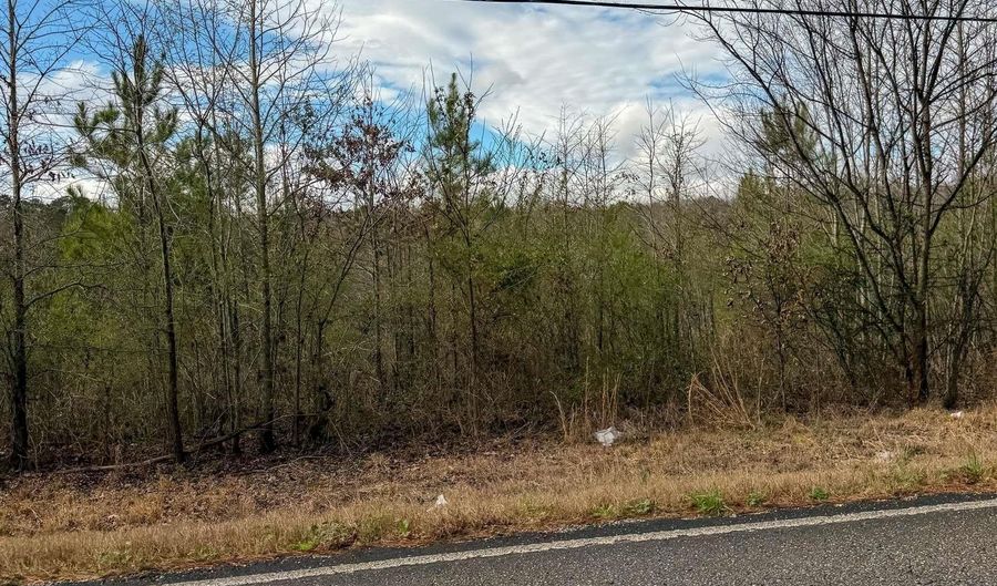 0 Hwy 23, Ashville, AL 35953 - 0 Beds, 0 Bath