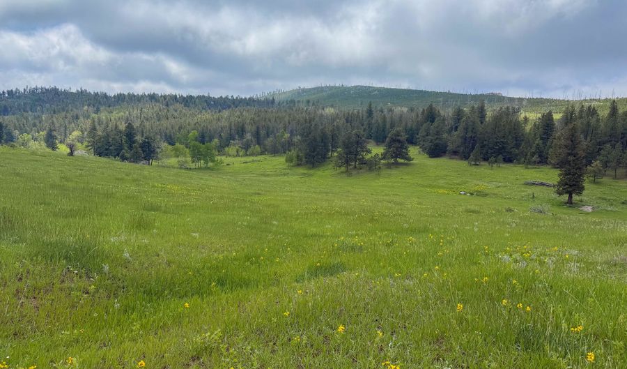 381 OLD CAMP Rd, Bellvue, CO 80512 - 0 Beds, 0 Bath