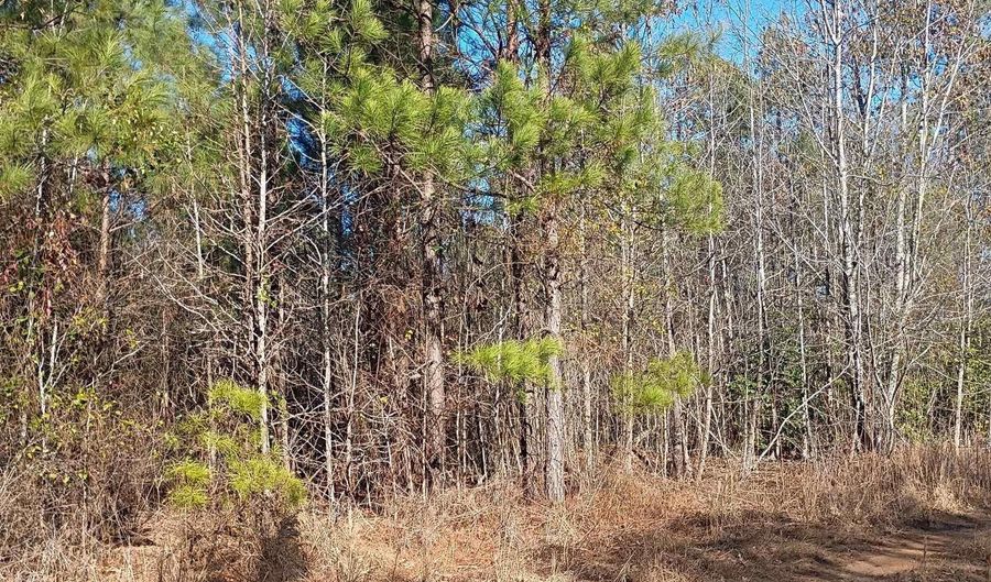 1164 Calvins Rd, Camden, SC 29020 - 0 Beds, 0 Bath