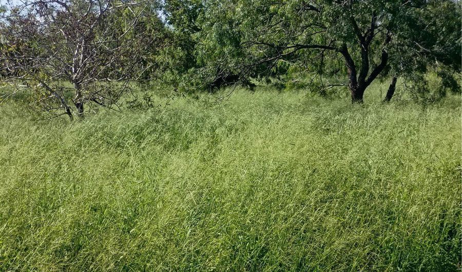 364 Deer Meadows Dr Lot 24, Alice, TX 78332 - 0 Beds, 0 Bath