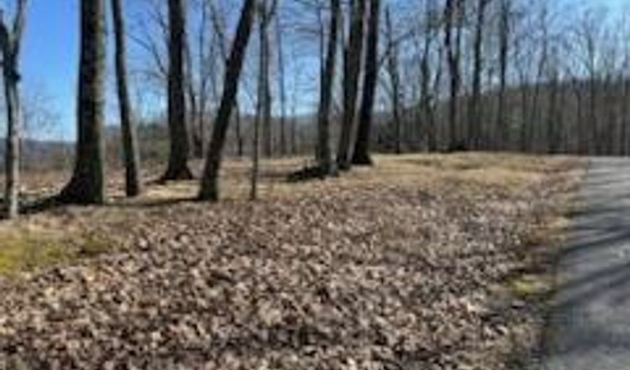 Lot 127 Withrow Lndg The Reteat, Caldwell, WV 24925 - 0 Beds, 0 Bath