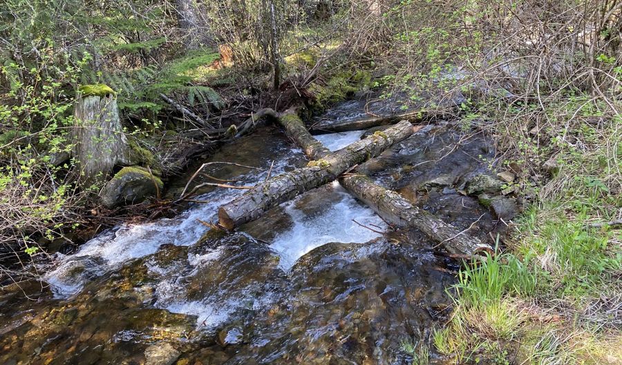 20308 E Canary Creek Rd, Cataldo, ID 83810 - 1 Beds, 1 Bath
