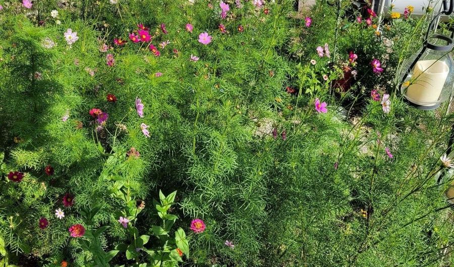 1603 S Campground S 97, Beaver, UT 84713 - 2 Beds, 1 Bath