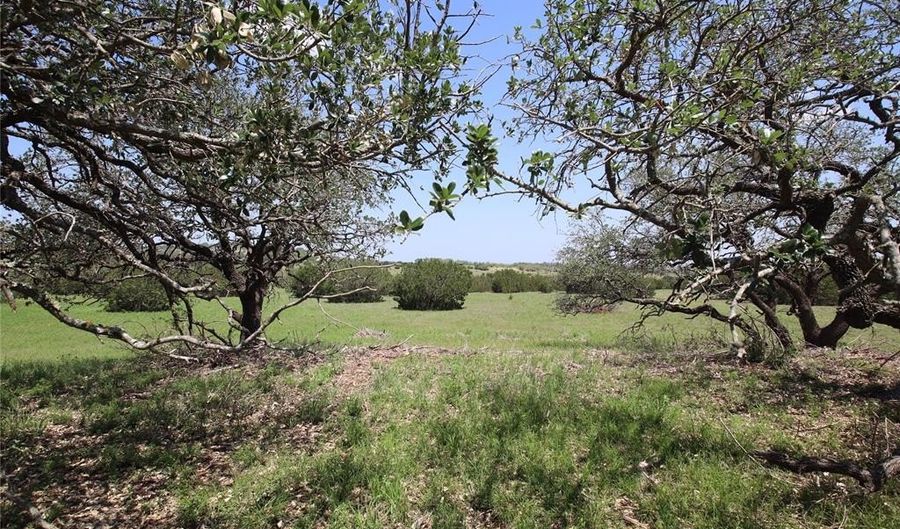 Tbd FM 221 - Tract 3, Pottsville, TX 76565 - 0 Beds, 0 Bath