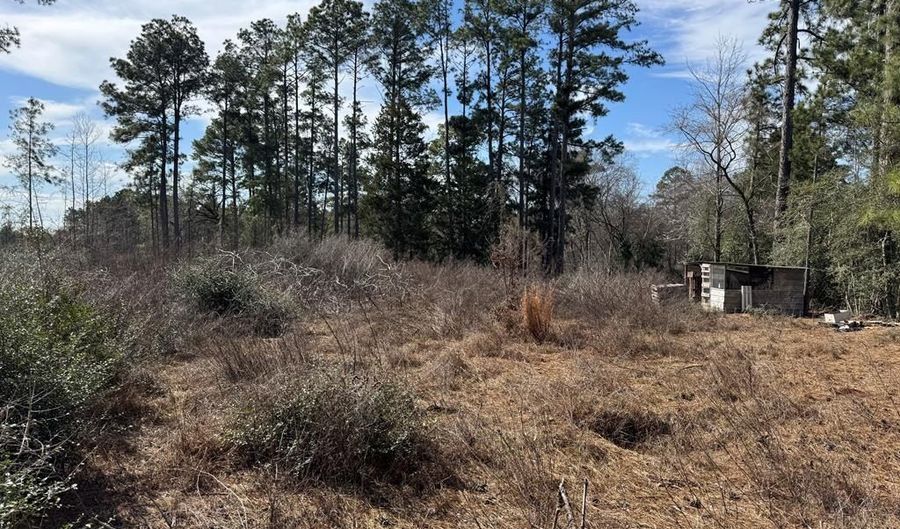 TR 3A FM 752, Alto, TX 75925 - 0 Beds, 0 Bath