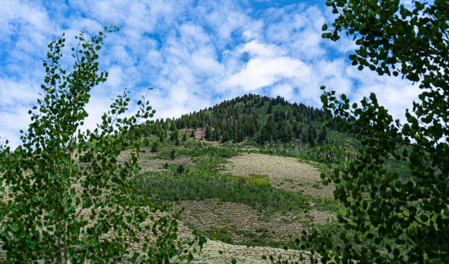 Round Mountain Road, Almont, CO 81210 - 0 Beds, 0 Bath
