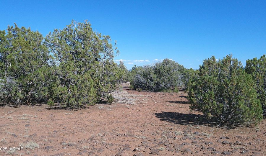 24 County Road 8063, Concho, AZ 85924 - 0 Beds, 0 Bath