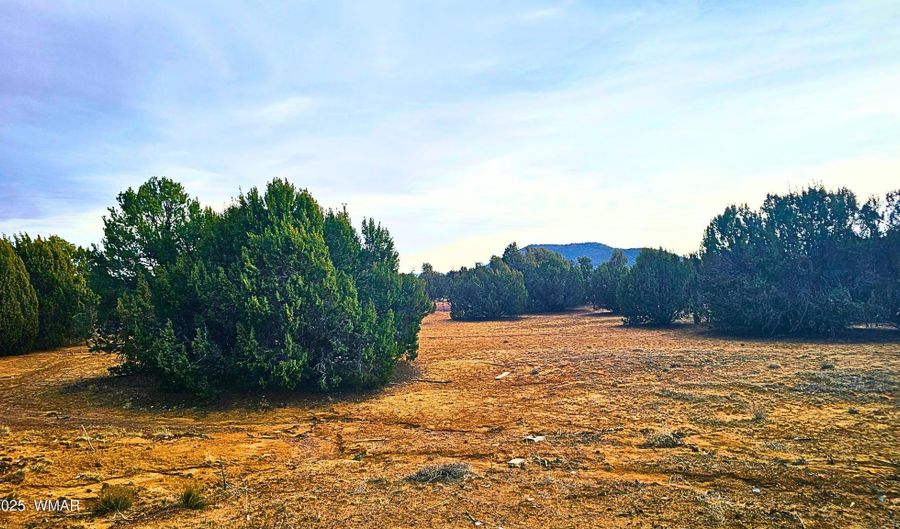 55 N Country Club Dr, Concho, AZ 85924 - 4 Beds, 3 Bath