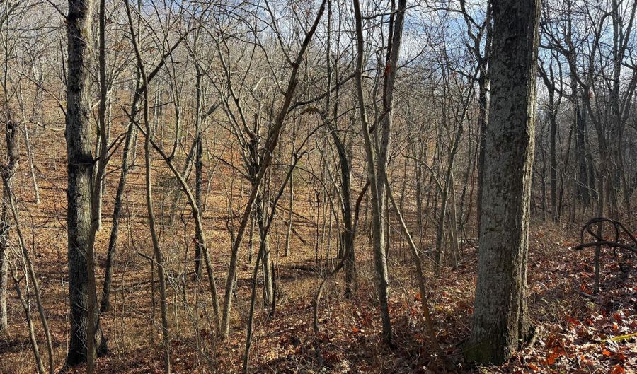 Farm Rd 1187 Lc, Ash Grove, MO 65604 - 0 Beds, 0 Bath