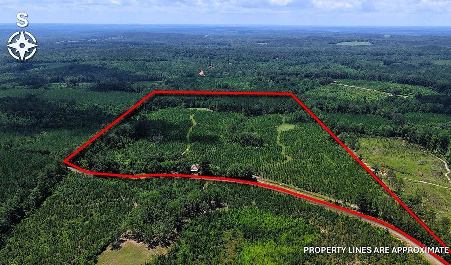 County Road 25, Banks, AL 36005 - 0 Beds, 0 Bath