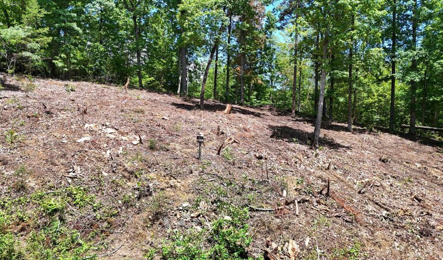 Lot 42 Bayside Boulevard, Bean Station, TN 37708 - 0 Beds, 0 Bath