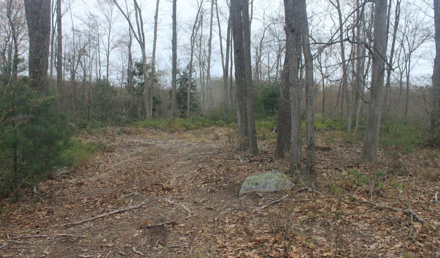 Nepaug Road, Burlington, CT 06013 - 0 Beds, 0 Bath