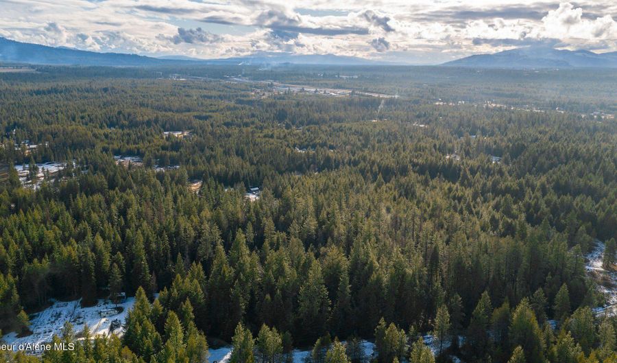 L23 Blk 2 Forest View Recreational Trac, Athol, ID 83801 - 0 Beds, 0 Bath