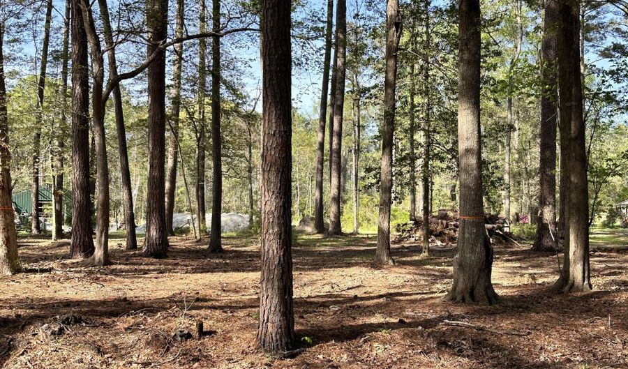 Lot Oakwood Lane, Aurora, NC 27806 - 0 Beds, 0 Bath