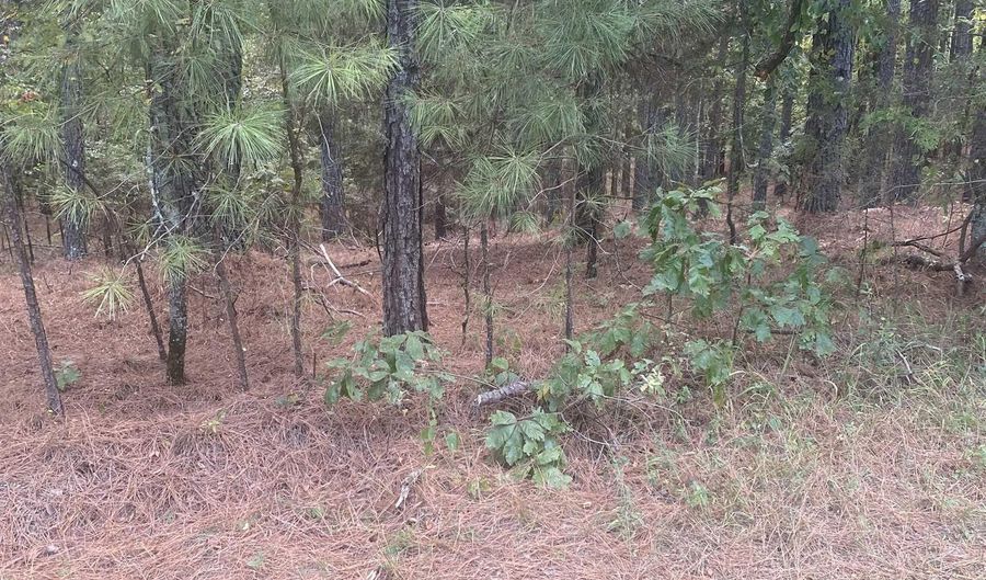 19 Pizarro Dr, Hot Springs Village, AR 71909 - 0 Beds, 0 Bath