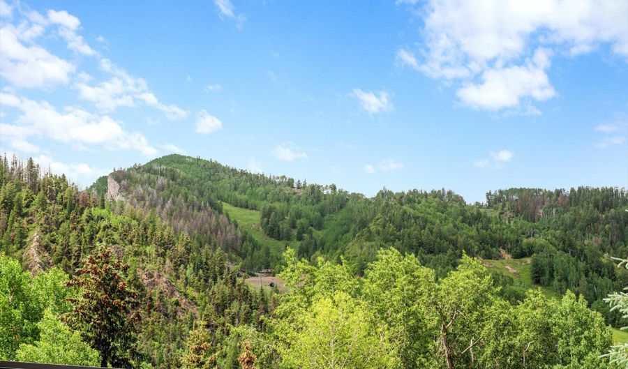 925 E DURANT Avenue 2, Aspen, CO 81611 - 4 Beds, 5 Bath