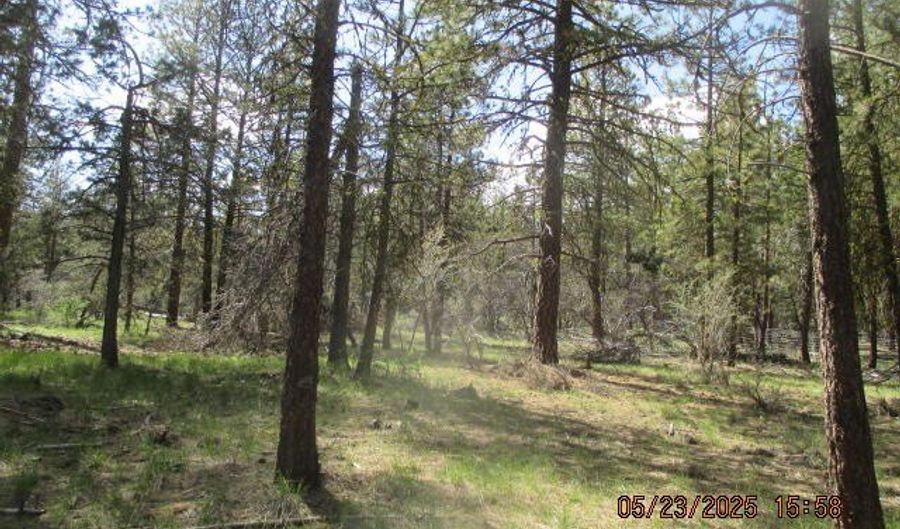 Golden Eagle Drive 5, Bonanza, OR 97623 - 0 Beds, 0 Bath