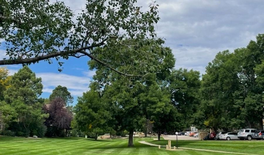 6036 Gunbarrel Ave B, Boulder, CO 80301 - 1 Beds, 1 Bath