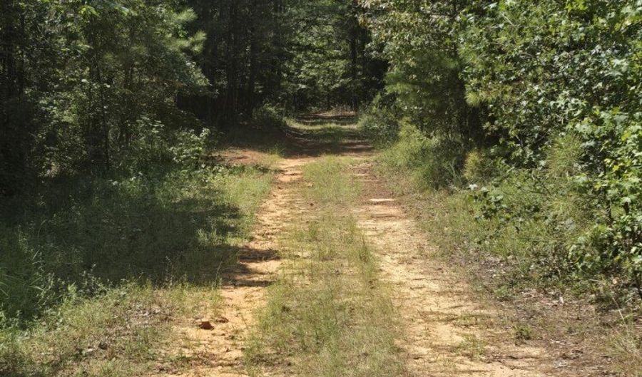 Adams Road, Bankston, AL 35542 - 0 Beds, 0 Bath