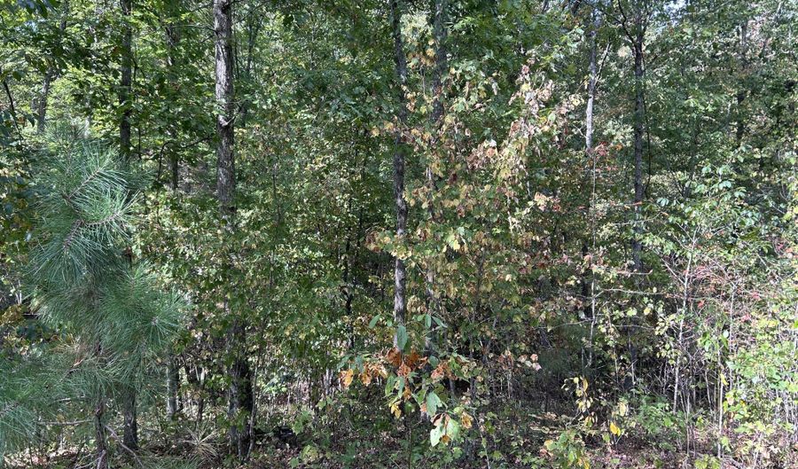 Tbd 7885 County Road 306 Pvt Drive-B, Ava, MO 65608 - 0 Beds, 0 Bath