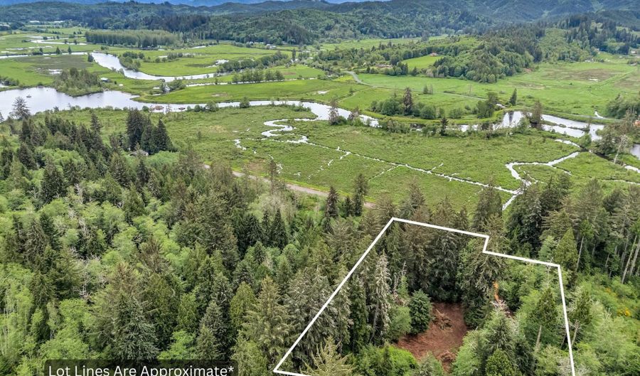 Ziak-Gnat Creek Ln, Astoria, OR 97103 - 0 Beds, 0 Bath