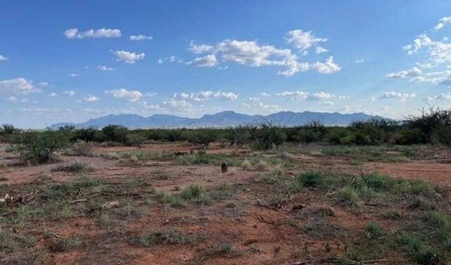 Ronald Reagan Parkway, Benson, AZ 85616 - 0 Beds, 0 Bath