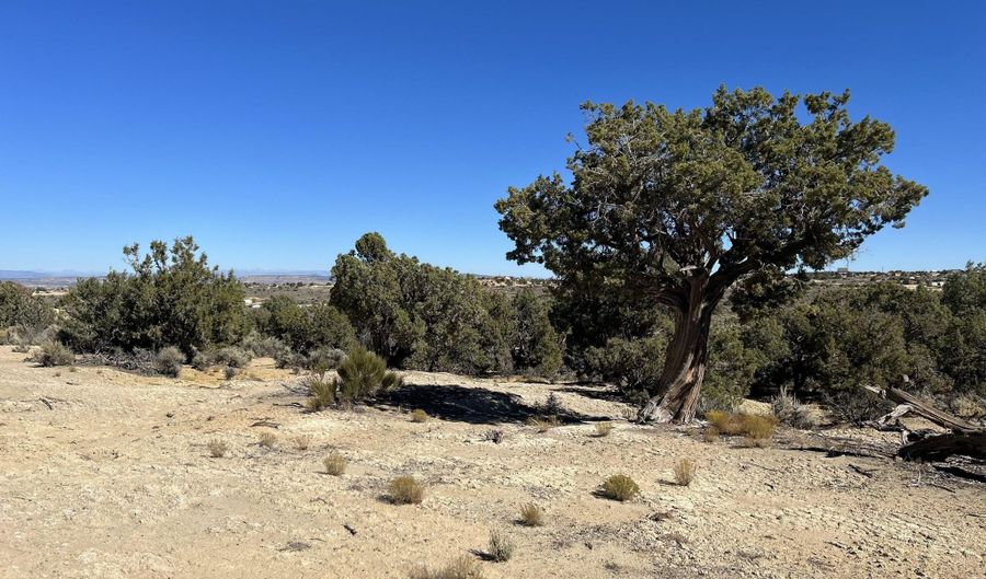 ROAD 2553 lot 7, Aztec, NM 87410 - 0 Beds, 0 Bath