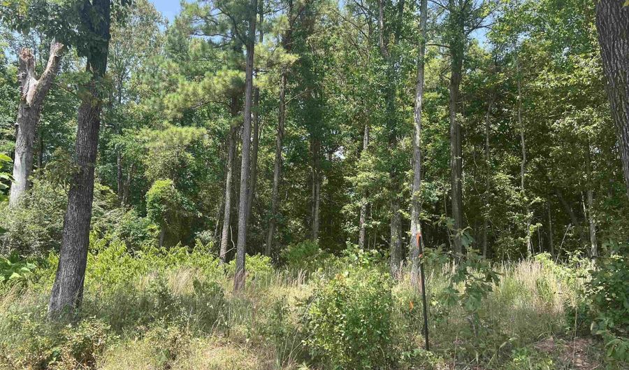 ROSBORO, Amity, AR 71921 - 0 Beds, 0 Bath