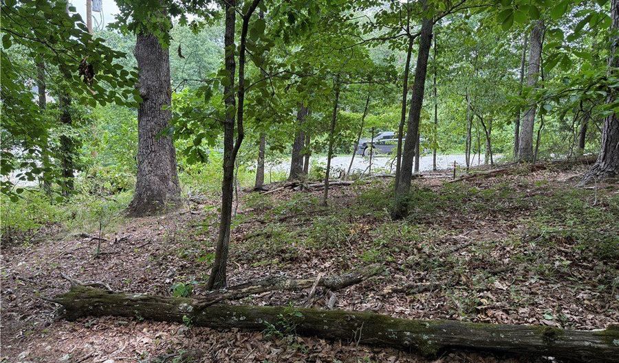 15 Dregg Ln Lot 11, Bella Vista, AR 72714 - 0 Beds, 0 Bath
