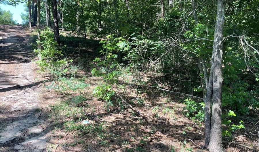 Madelyn Drive 1.18 Acre, Burnettown, SC 29829 - 0 Beds, 0 Bath