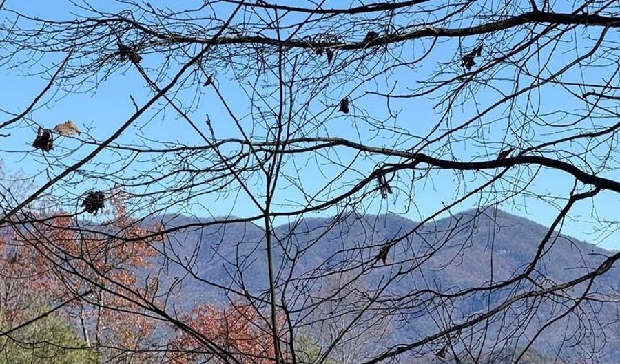 00 Sky Harbour Trce, Andrews, NC 28901 - 0 Beds, 0 Bath