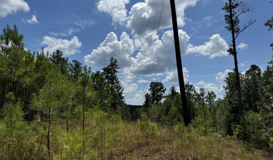 08 Adams Rd, Bankston, AL 35542 - 0 Beds, 0 Bath