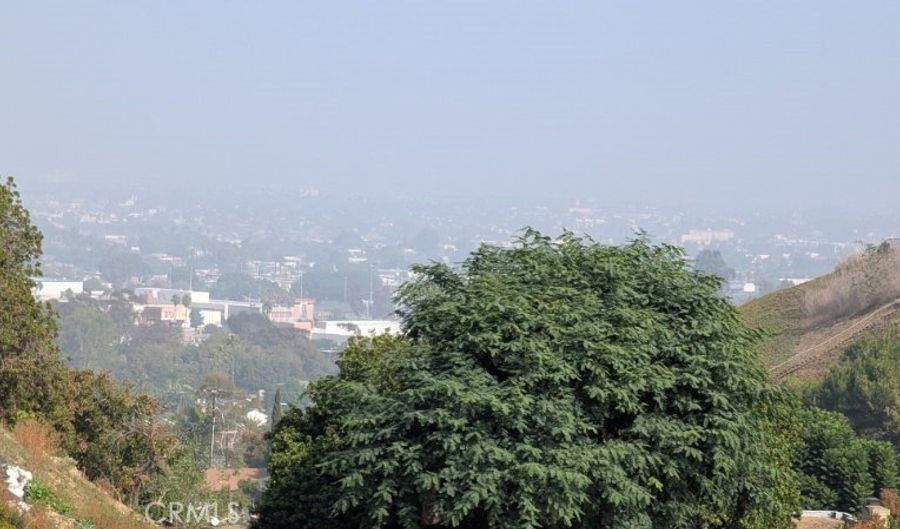 3986 S Cloverdale, Los Angeles, CA 90008 - 0 Beds, 0 Bath