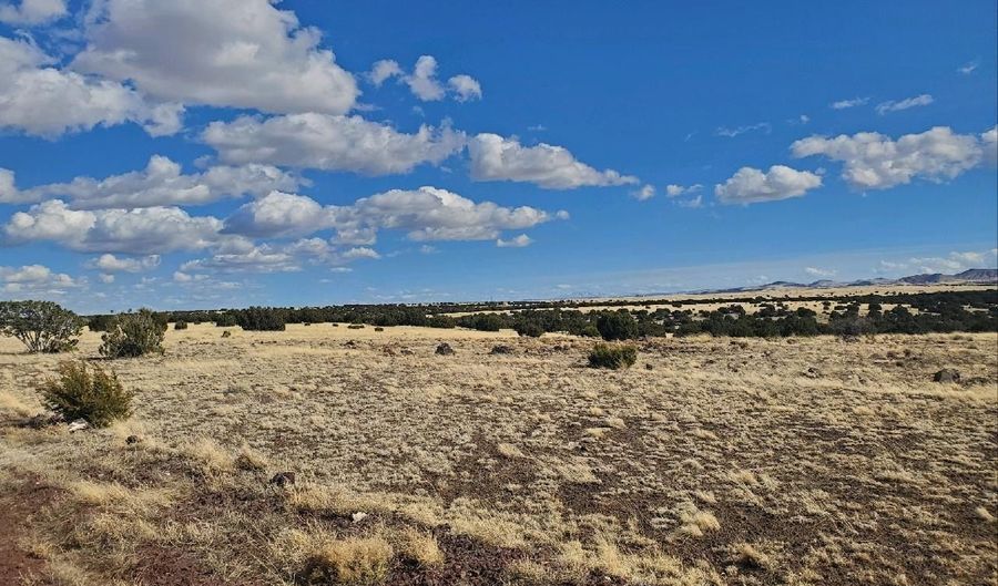 Cr 5076, Concho, AZ 85924 - 0 Beds, 0 Bath
