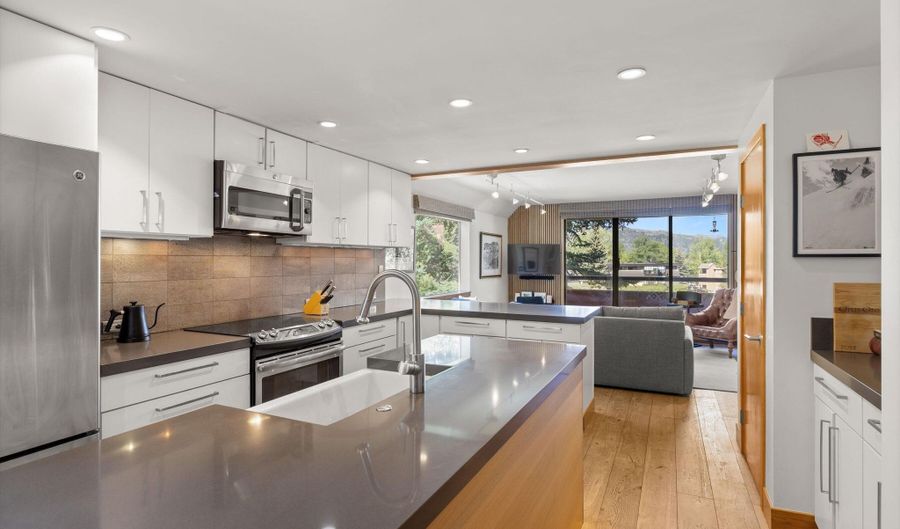 1221 Vine St 1221, Aspen, CO 81611 - 2 Beds, 1 Bath