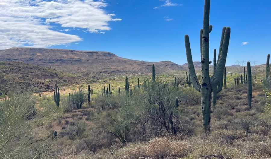 S Tillys Trail, Black Canyon City, AZ 85324 - 0 Beds, 0 Bath